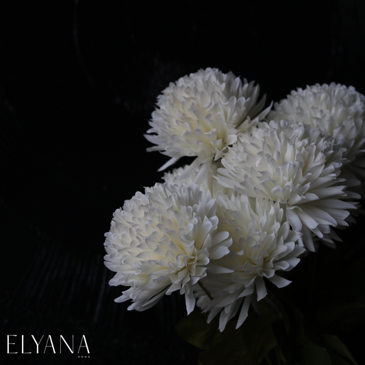 WHITE CHRYSANTHEMUM FLOWER